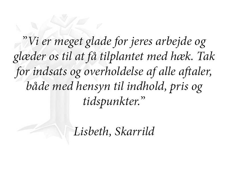 ref_lisbeth.jpg