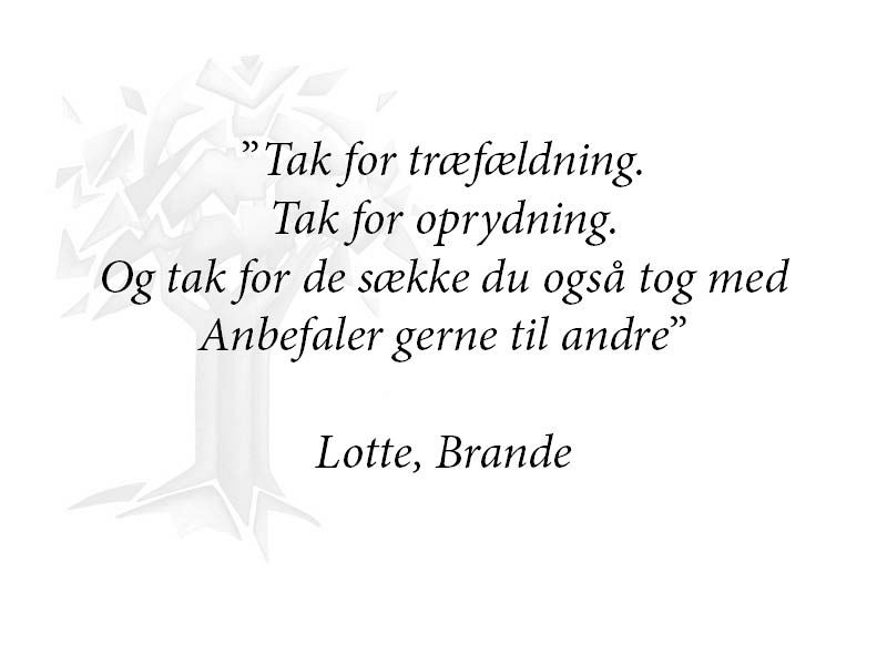 ref_lotte.jpg